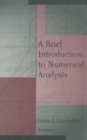 A Brief Introduction to Numerical Analysis - eBook