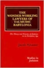 The Wonder-Working Lawyers of Talmudic Babylonia : The Theory and Practice of Judaism in its Formative Age - Book
