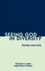 Seeing God in Diversity : Exodus and Acts - eBook