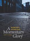 A Momentary Glory - Book