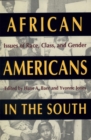 African Americans in the South : Issues of Race, Class and Gender - Book