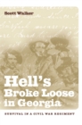 Hell's Broke Loose in Georgia : Survival in a Civil War Regiment - Book
