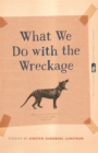 What We Do with the Wreckage : Stories - Book