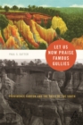 Let Us Now Praise Famous Gullies : Providence Canyon and the Soils of the South - Book