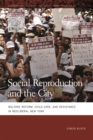Social Reproduction and the City : Welfare Reform, Child Care, and Resistance in Neoliberal New York - Book