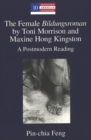 The Female Bildungsroman by Toni Morrison and Maxine Hong Kingston : A Postmodern Reading - Book