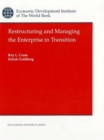 Restructuring and Managing the Enterprise in Transition - Book