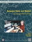 Between State and Market : Mass Privatization in Transition Economies - Book