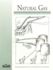 Natural Gas : Private Sector Participation and Market Development - Book