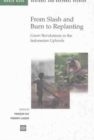 From Slash and Burn to Replanting : Green Revolutions in the Indonesia Uplands - Book