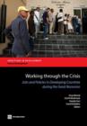 Working Through the Crisis : Jobs and Policies in Developing Countries During the Great Recession - Book