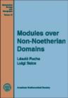 Modules Over Non-noetherian Domains - Book