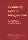 Geometry and the Imagination - Book