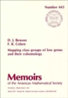 Mapping Class Groups Of Low Genus And Their Cohomology - Book
