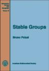 Stable Groups - Book
