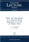 Why the Boundary of a Round Drop Becomes a Curve of Order Four - eBook