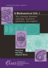 A Mathematical Gift, Volume 1 : The Interplay Between Topology, Functions, Geometry, and Algebra - Book