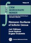 Riemann Surfaces of Infinite Genus - Book