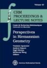 Perspectives in Riemannian Geometry - Book