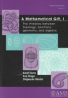 A Mathematical Gift, Volume 1-3 : The Interplay Between Topology, Functions, Geometry, and Algebra - Book