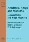 Algebras, Rings and Modules : Lie Algebras and Hopf Algebras - Book