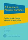 A Course in Minimal Surfaces - Book