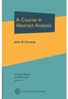 A Course in Abstract Analysis - eBook