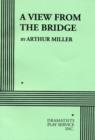View from the Bridge - Book