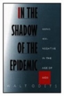 In the Shadow of the Epidemic : Being HIV-Negative in the Age of AIDS - Book