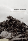 Down in the Dumps : Place, Modernity, American Depression - Book