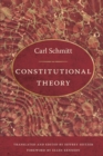 Constitutional Theory - Book