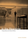 In the Meantime : Temporality and Cultural Politics - Book