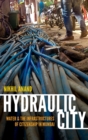 Hydraulic City : Water and the Infrastructures of Citizenship in Mumbai - Book