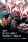 How Development Projects Persist : Everyday Negotiations with Guatemalan NGOs - eBook