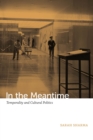In the Meantime : Temporality and Cultural Politics - eBook