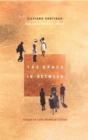 The Space In-Between : Essays on Latin American Culture - eBook