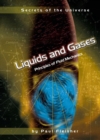 Liquids and Gases : Principles of Fluid Mechanics - eBook