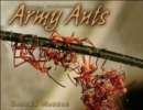 Army Ants - Book
