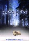 Picture Perfect - Book