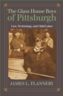The Glass House Boys of Pittsburgh : Law, Technology, and Child Labor - Book