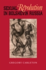 Sexual Revolution in Bolshevik Russia - eBook