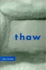 Thaw - Book