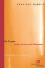 In Excess : Studies of Saturated Phenomena - Book
