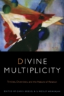 Divine Multiplicity : Trinities, Diversities, and the Nature of Relation - Book