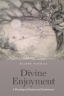Divine Enjoyment : A Theology of Passion and Exuberance - Book