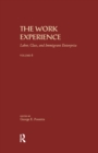 The Work Experience : Labor, Class & Immigrant Enterprise - Book