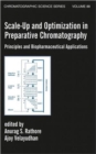 Scale-Up and Optimization in Preparative Chromatography : Principles and Biopharmaceutical Applications - Book