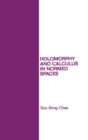Holomorphy and Calculus in Normed SPates - Book