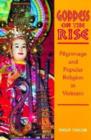 Goddess on the Rise : Pilgrimage and Popular Religion in Vietnam - Book