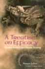 A Treatise on Efficacy : Between Western and Chinese Thinking - Book